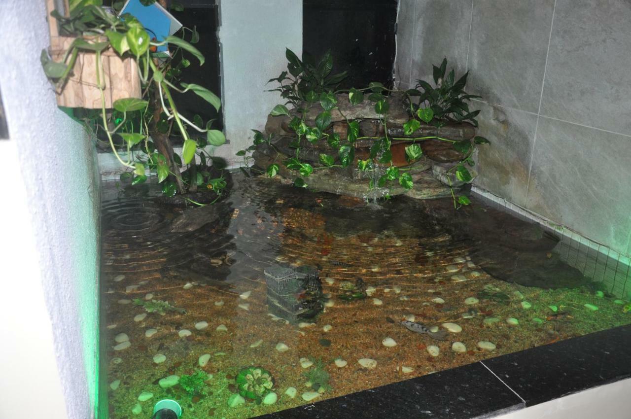 Hotel Sempre Bahia Salvador Kültér fotó